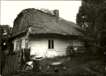dom, skan 3