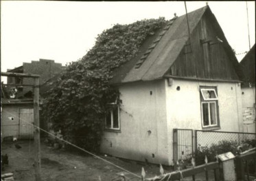 dom, skan 3