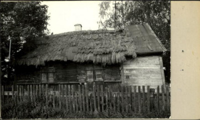 dom, skan 3