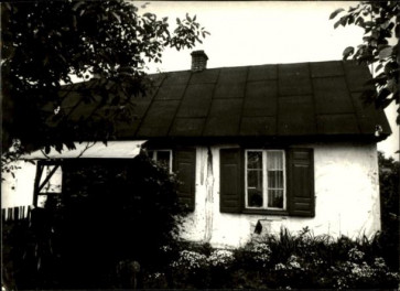 dom, skan 3