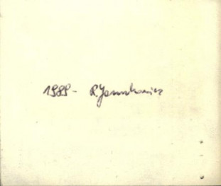 willa Podgóze, skan 2