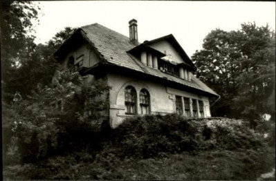 willa Brzozy, skan 3