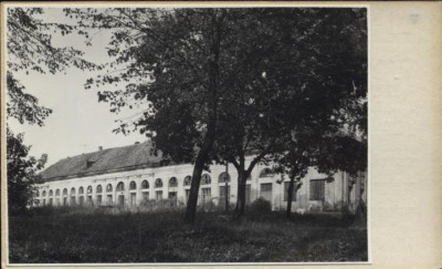oranżeria pałacowa, skan 2