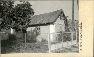 dom, skan 2