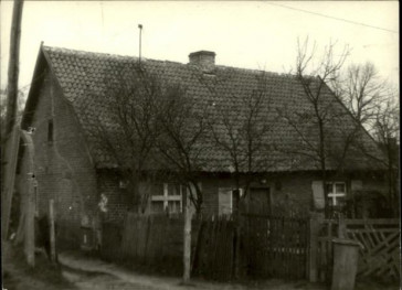 dom, skan 3