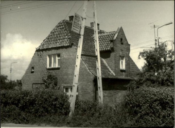 dom, skan 3