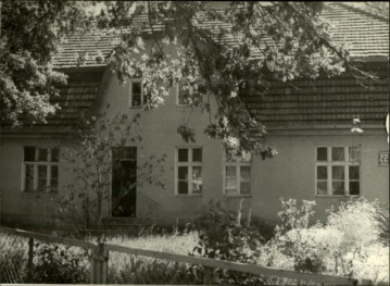 dom, skan 3
