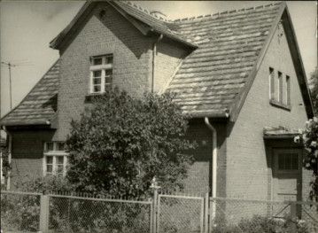 dom, skan 3