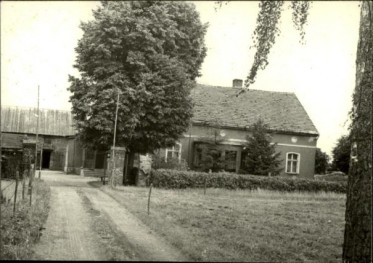 dom, skan 3