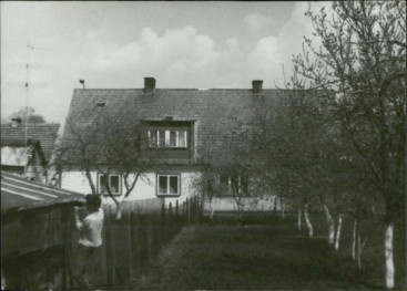 dom, skan 3