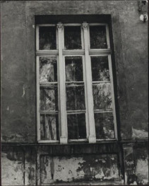 dom, skan 6