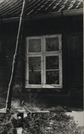 dom, skan 3