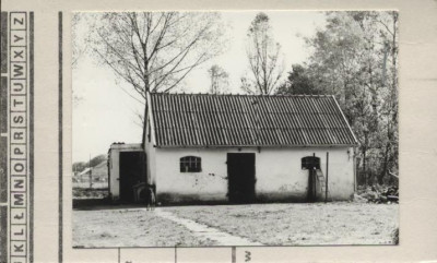 kurnik, skan 2