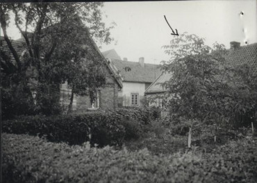 dom, skan 3
