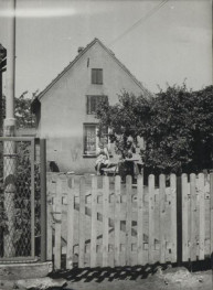 dom, skan 3