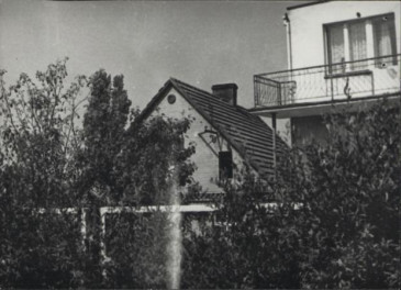 dom, skan 5