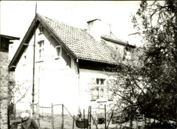 dom, skan 4