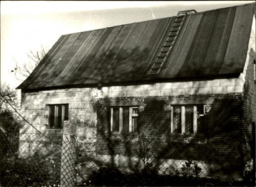 dom, skan 3