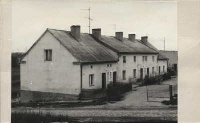 czworak, skan 2