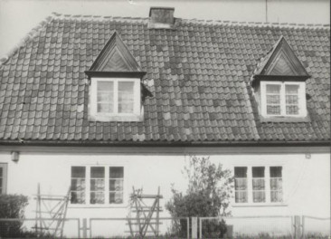 dom, skan 3