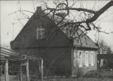 dom, skan 3
