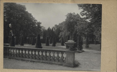 park, skan 3