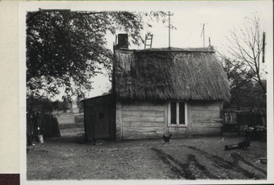 zagroda - dom, skan 2