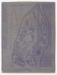 schematyczny plan arboretum w Kórniku według wydawnictwa Fundacji Kórnickiej, skala 1:2500, skan 1