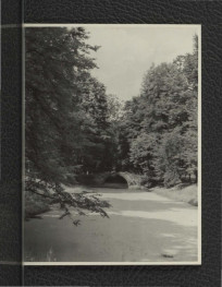 fotografia czarno-biała przedstawiająca mostek w miejscowym parku oraz kanał (?), skan 1