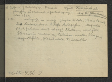 wypis z Kobenza R., Kołodziejczyk J., Przewodnik florystyczny po okolicach i parkach Warszawy, Warszawa 1922, s. 96 wzmiankujący nazwy gatunków poszczególnych drzew w miejscowym parku  , skan 1