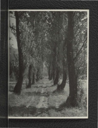 2 fotografie czarno-białe przedstawiające miejscową aleję parkową, skan 1