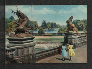 fotografia kolorowa w formie pocztówki przedstawiająca fragment miejscowego parku , skan 1