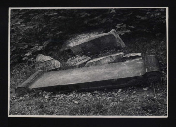 fotografia czarno-biała przedstawiająca potrzaskane fragmenty marmurowych zdobień parkowych – ze zbiorów Pracowni Rzeźby Pracowni Konserwacji Zabytków z 1 czerwca 1953 r., skan 1