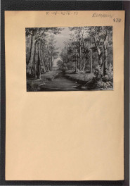 fotografia czarno-biała obrazu, skan 3