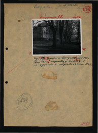 fotografia czarno-biała przedstawiająca fragment elewacji ogrodowej oraz alei lip, skan 1