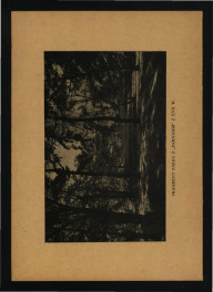 broszura/informator Muzeum Wielkopolskiego/Oddziału w Rogalinie z lipca 1949 r.; dziesięć kart, skan 17