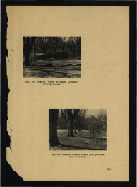 artykuł autorstwa G. Ciołka pt. Ogród w Rogalinie w: „Ochrona Zabytków” nr 2-3, r. III (1950), s. 147-152; trzy karty , skan 5
