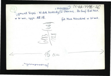 fotografia czarno-biała reprodukcji ryciny autorstwa Zygmunta Vogla przedstawiającej widok kaskady i menażerii w tej miejscowości; ze zbiorów Biblioteki Narodowej w Warszawie, skan 2