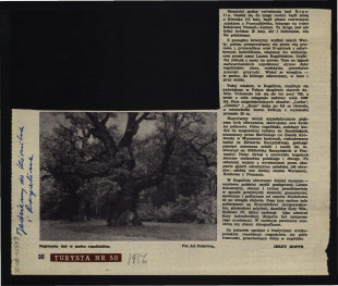 wycinek z czasopisma „Turystyka” nr 50 (1956) zawierający fragment artykułu autorstwa Jerzego Hoppe’a pt. Jedziemy do Kórnika i Rogalina , skan 1
