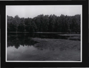 4 fotografia czarno-biała przedstawiająca miejscowy park, skan 1