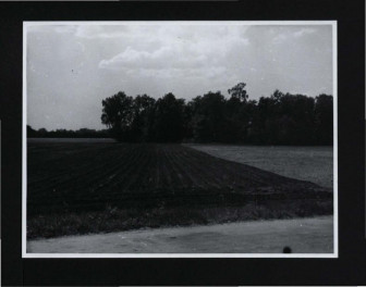 4 fotografia czarno-biała przedstawiająca miejscowy park, skan 3