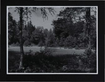 4 fotografia czarno-biała przedstawiająca miejscowy park, skan 4