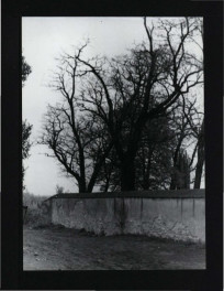 fotografia czarno-biała przedstawiająca fragment muru, skan 1
