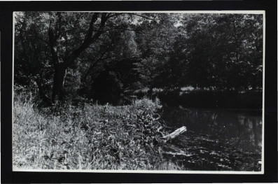 fotografia czarno-biała przedstawiająca fragment miejscowego parku oraz stawu, skan 1