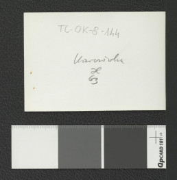 widok zabudowań klasztornych, skan 2