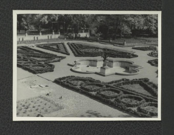 6 fotografii czarno-białych przedstawiających Ogród Różany w trakcie prac konserwatorskich, skan 2