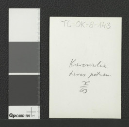 fragment muru klasztornego , skan 2