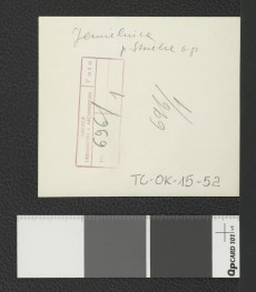 reprodukcja ryciny pochodzącej z Wernher Fryderyk Bernard, Topografia Śląska, 1744-1768 przedstawiająca widok z lotu ptaka na miejscowy zespół klasztorny                     , skan 2