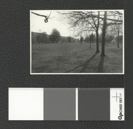 drzewostan w okolicach miejscowego klasztoru , skan 3