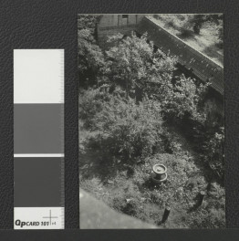fragment ogrodu zamkowego , skan 1